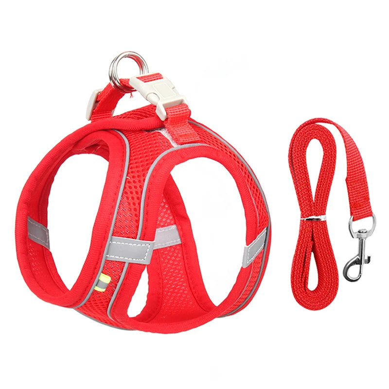 Adjustable Dog Harness Vest With Walking Leash