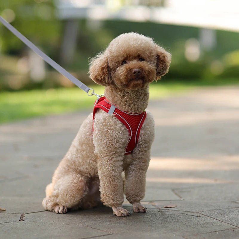 Adjustable Dog Harness Vest With Walking Leash