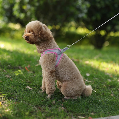Adjustable Dog Harness Vest With Walking Leash