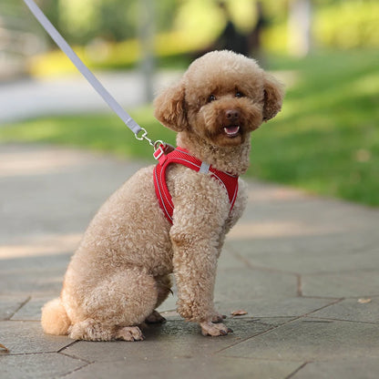 Adjustable Dog Harness Vest With Walking Leash