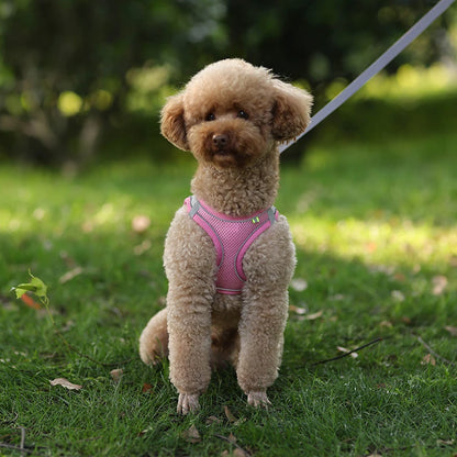 Adjustable Dog Harness Vest With Walking Leash