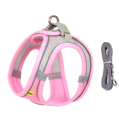 Adjustable Dog Harness Vest With Walking Leash