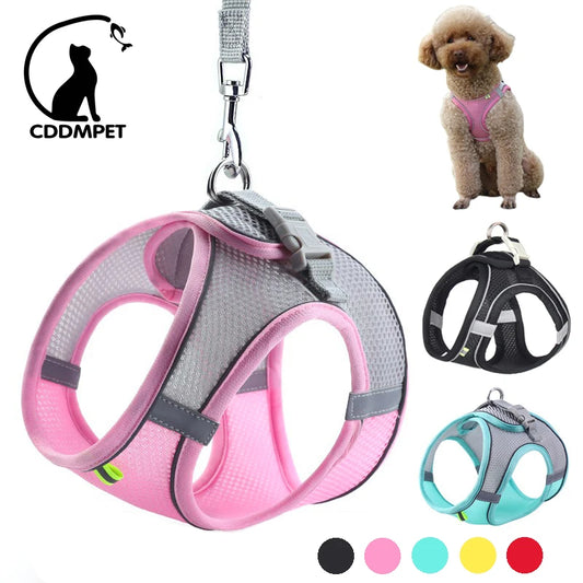 Adjustable Dog Harness Vest With Walking Leash