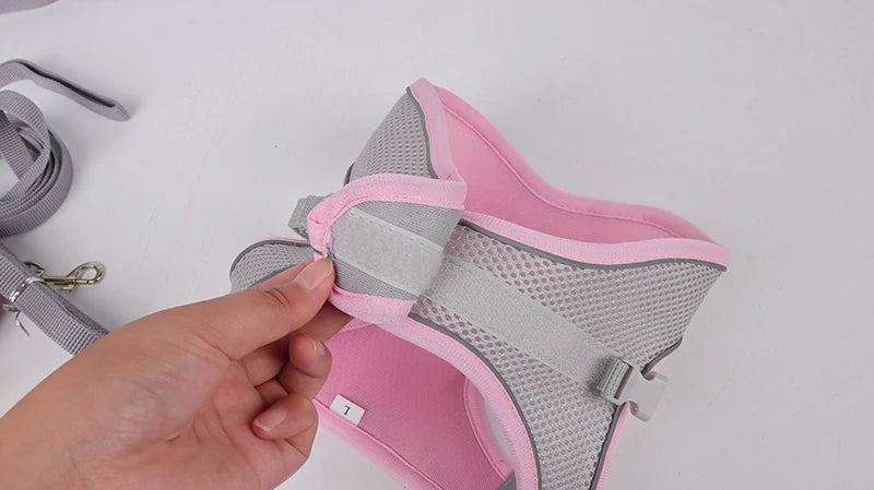 Adjustable Dog Harness Vest With Walking Leash